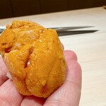 麻布十番 秦野よしき - 