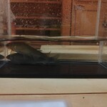 喰切料理 八方 - 