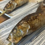 きょうの魚と酒 よかうお - 