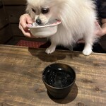 犬茶屋本舗 - 水まで美味しいのか