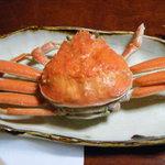 山新 - セコガニ①