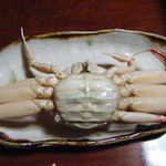 山新 - セコガニ②