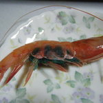 山新 - 刺身(甘エビ)