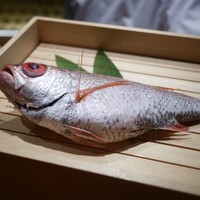 のどぐろ専門 銀座中俣 極 - 対馬産の紅瞳