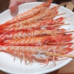 神田錦町 鮨たか晴 - 茹でたて車海老