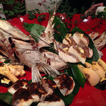 舞桜 - お祝いの鯛　3.8キロ