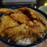 Kakki - 全部切り身の魚デシタ