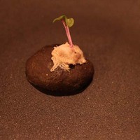 ルカンケ - 