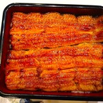 入谷鬼子母神門前のだや - 児島湾天然青うなぎ