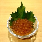 寿司大 - この季節しか食べられない生イクラ