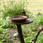 くつきそば 永昌庵 - 