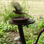 くつきそば 永昌庵 - 