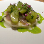 マンサルヴァ - 