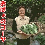 Okinawa Paradaisu - おばぁのゴーヤチャンプル