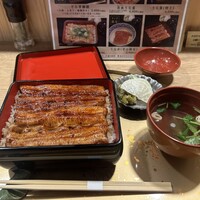 うなぎ 目白ぞろ芽 - 