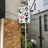 うなぎ 目白ぞろ芽 - 