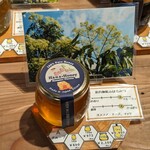 ビー フレンドシップ - 