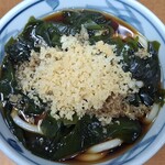 加賀 - 上空から