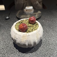 アニエルドール - 