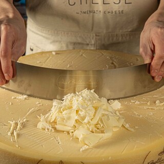 What is Rani Cheese?