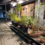 トラットリア パッパ - 