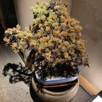 焼肉 グルマンズいとう - 