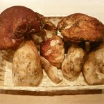 くろぎ - ポルチーニ茸（仏産）