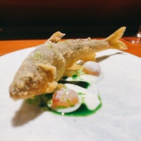 TACUBO - 