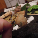 魚菜 由良 - 巻貝を上手に取り出す