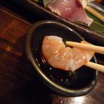 魚菜 由良 - お造り喰らう