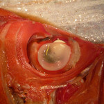 魚菜 由良 - 金目の煮付け　ズームアップ