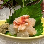 一椿 - 伊勢海老の刺身