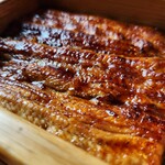 Blowin' in the Wind - 