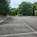 Blowin' in the Wind - 