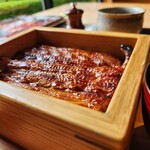 Blowin' in the Wind - 