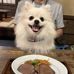犬茶屋本舗 - わんこ大満足