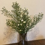 ビストロ イルデパン - 