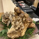 蕎麦割烹  倉田 - 松茸＆天然舞茸