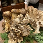 蕎麦割烹  倉田 - 松茸＆天然舞茸