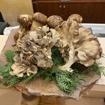 蕎麦割烹  倉田 - 松茸＆天然舞茸