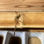 串かつ専門店 藍花 - 