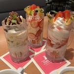 キャッツカフェ 港店 - 