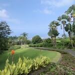 Doutor Coffee Mauka Meadows - 