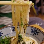 宮武讃岐うどん - 冷とろろ　並　４７０円（消費税５％）(2013.11月)