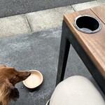 スターバックスコーヒー 奥沢2丁目店 - 