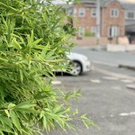 らー麺　Do・Ni・Bo - 笹竹からのVW