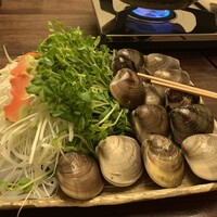 桑名蛤料理・蛤しゃぶしゃぶ 貝新 - 