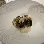 エヴォリュエ - 