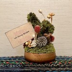 カフェモン - 可愛い鉢♡