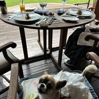 岩崎台倶楽部 グラスグラス - 